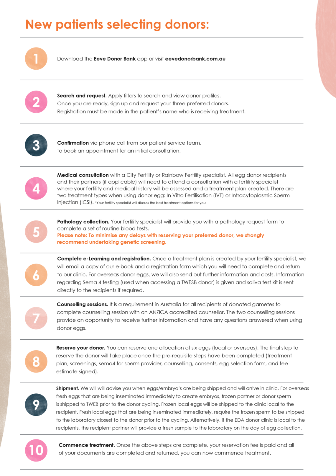 The process of receiving donor eggs Eeve Donor Bank